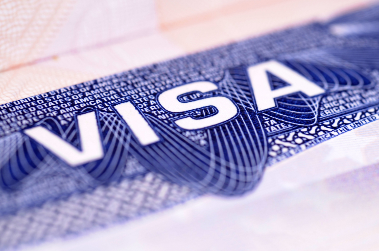 Choosing visa type